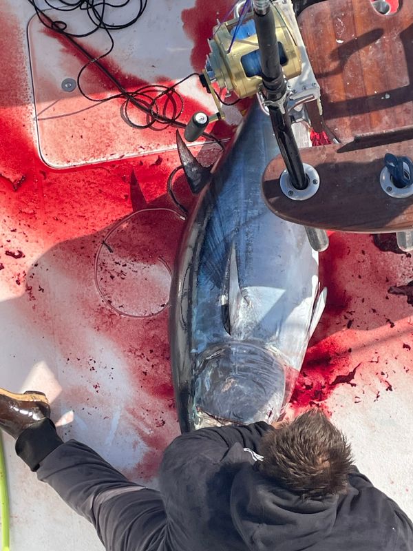 Fishin Fannatic, LLC