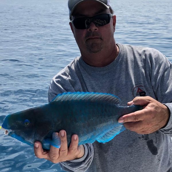 Mile Marker 27 Fishing Charters