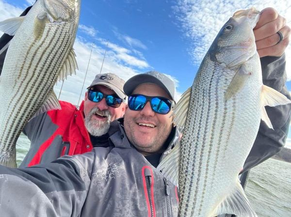 Bearded Dog Striper Guide Service