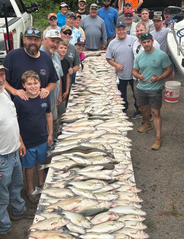 Reel N Time Fishing Charters