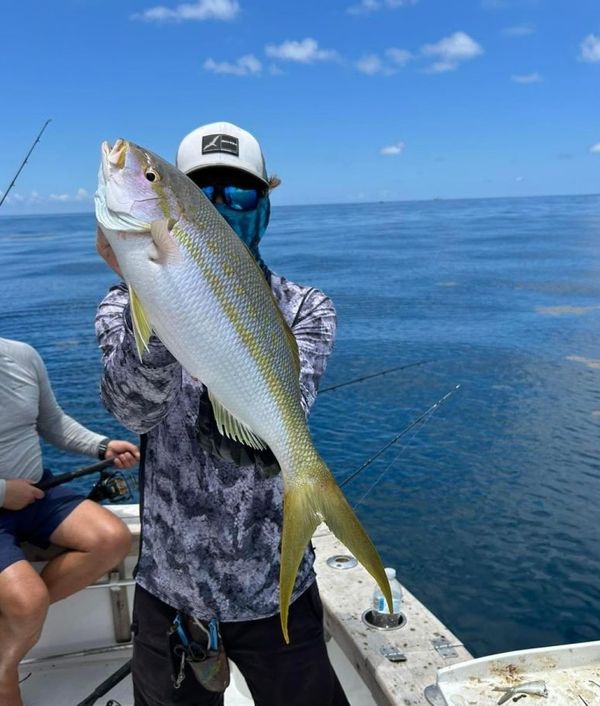 Drop Off Sportfishing
