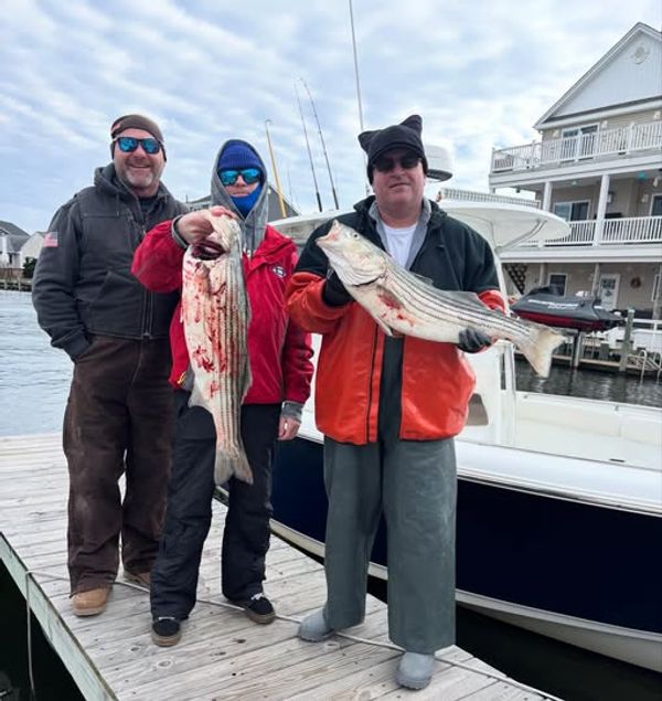 Reel Altercation Sport Fishing