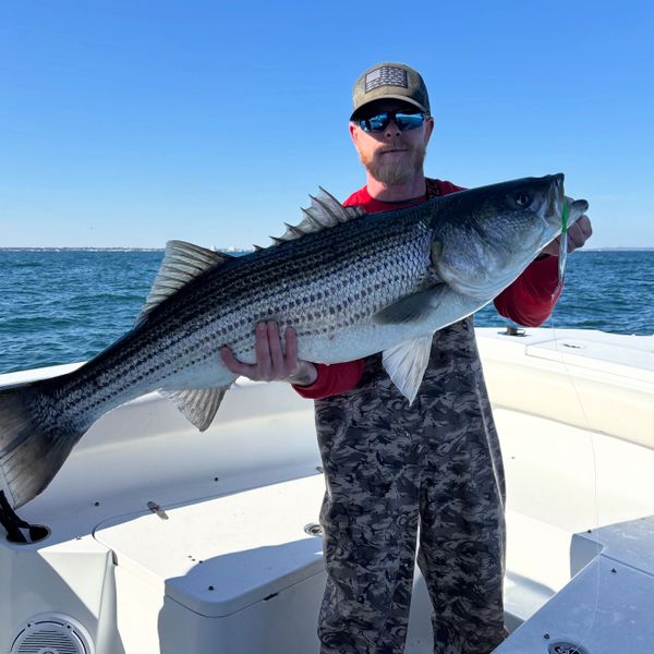 Reel Altercation Sport Fishing