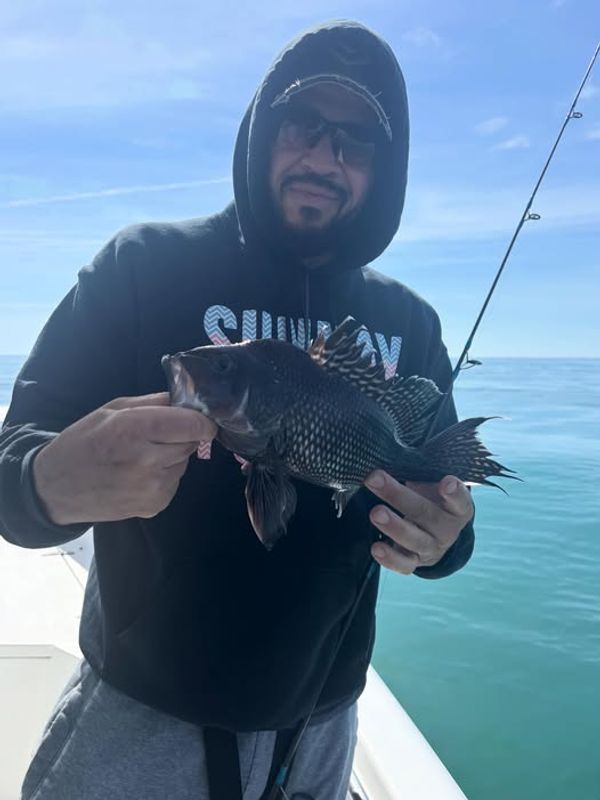 Reel Altercation Sport Fishing