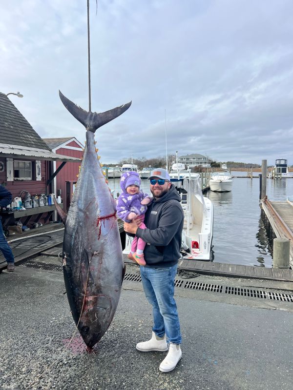 Reel Altercation Sport Fishing