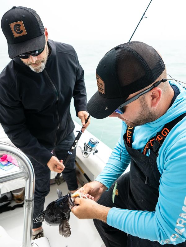 Reel Altercation Sport Fishing