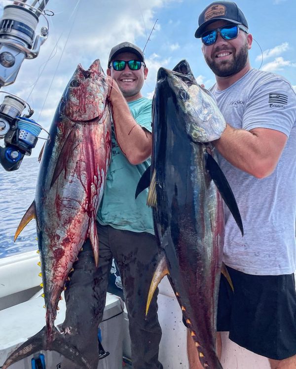 Reel Altercation Sport Fishing