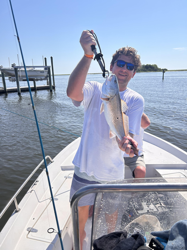 Carolina Charters