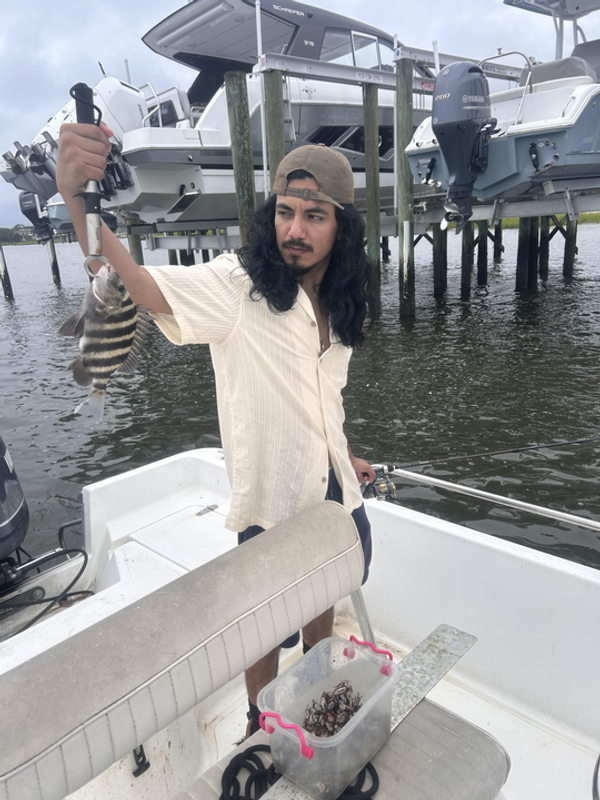 Carolina Charters