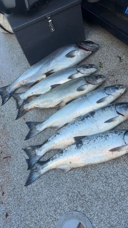 Miller’s Sportfishing