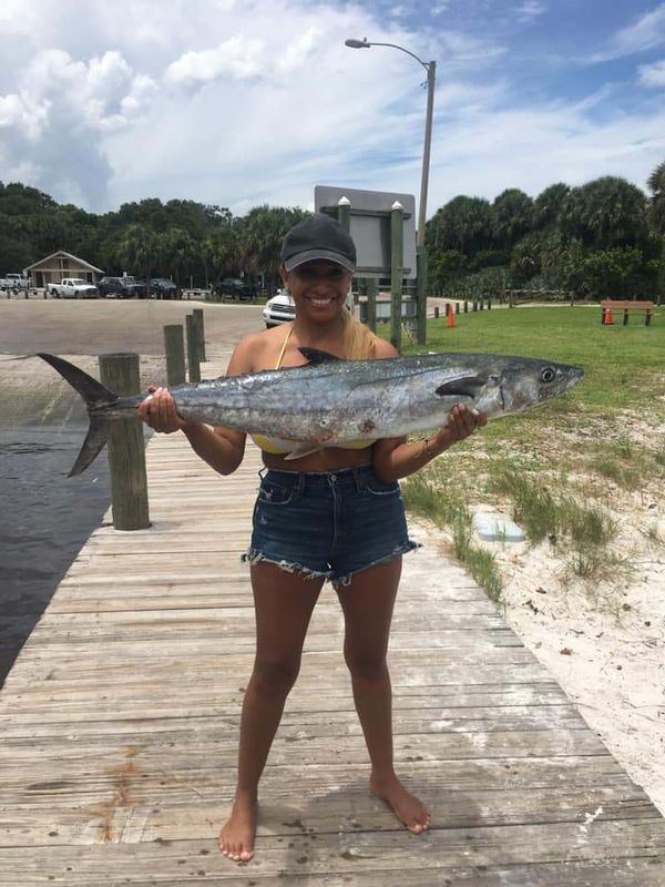 Colossal Catch