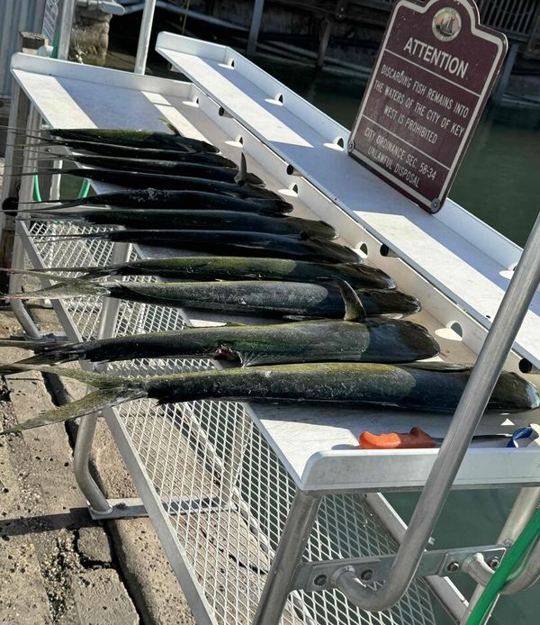 Fishizzle Sportfishing Charters