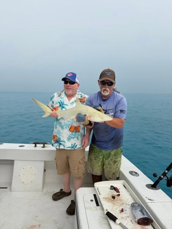 Fishizzle Sportfishing Charters