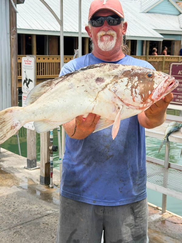 Fishizzle Sportfishing Charters