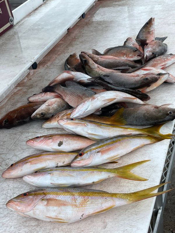 Fishizzle Sportfishing Charters