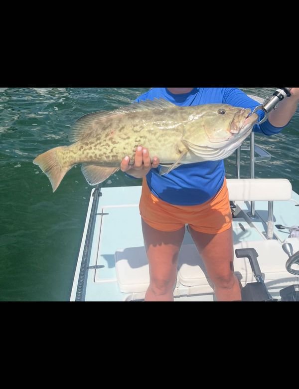Andy's Fishing Charters