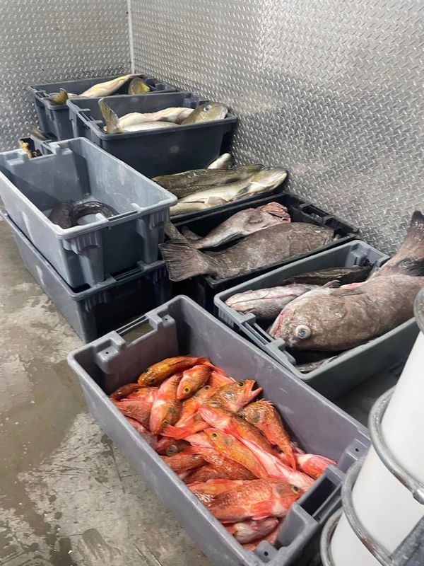 Next Lvl Sportfishing