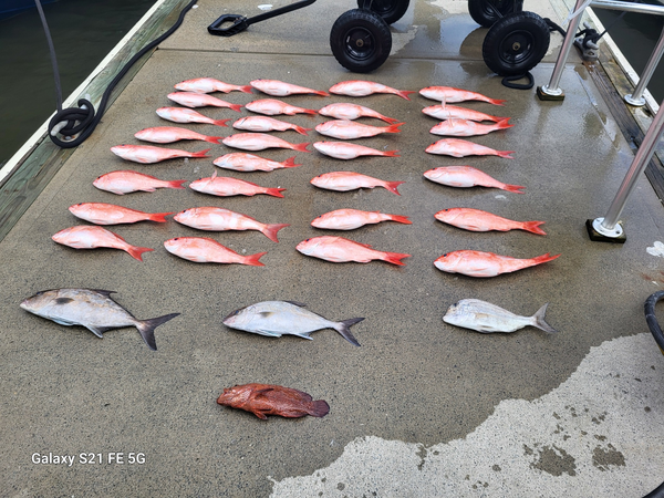 Pipe Dream Charters