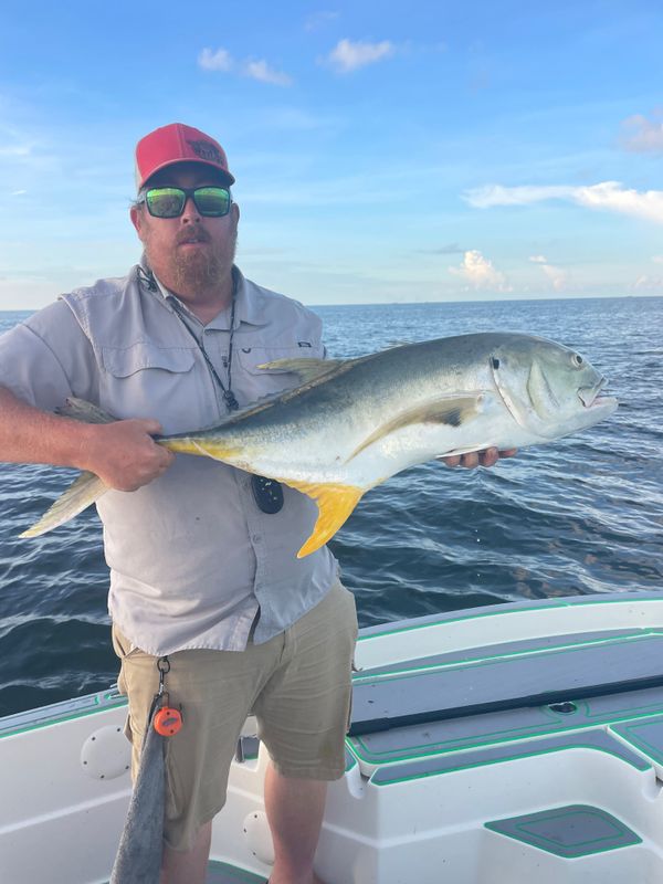 SaltyFrog Charters