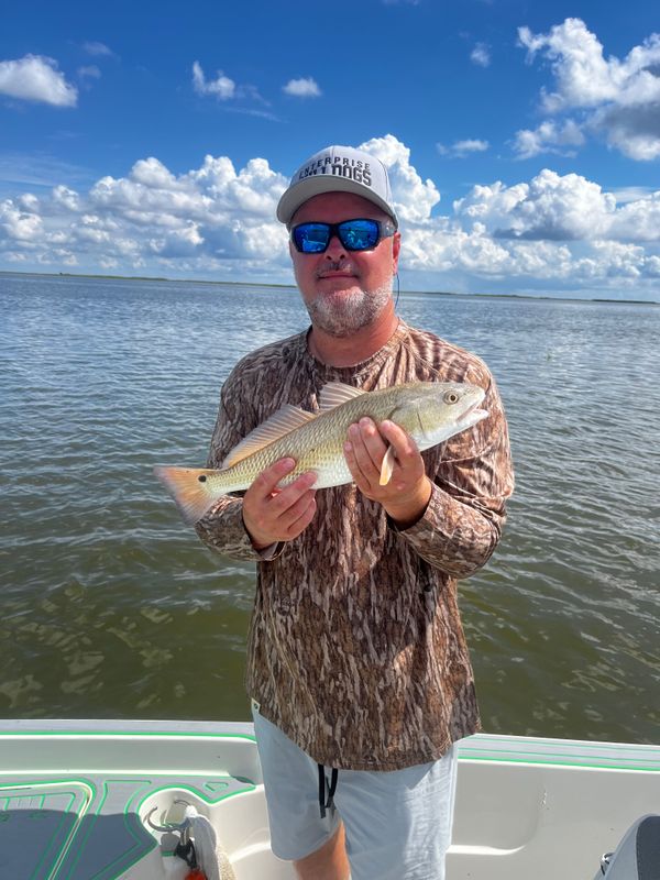 SaltyFrog Charters