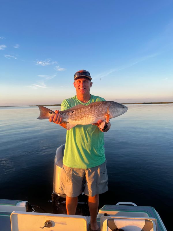SaltyFrog Charters