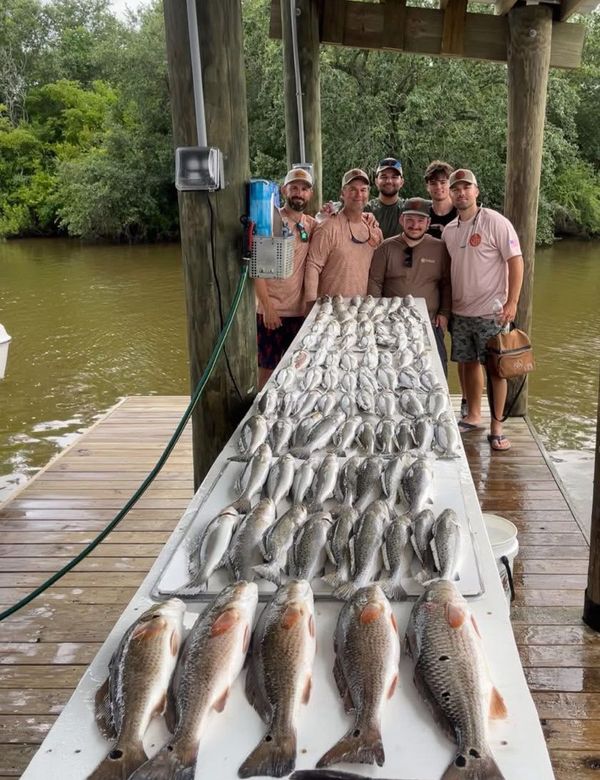 SaltyFrog Charters
