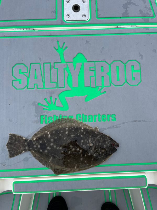 SaltyFrog Charters