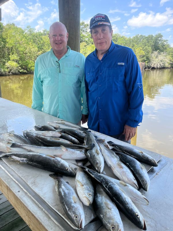 SaltyFrog Charters