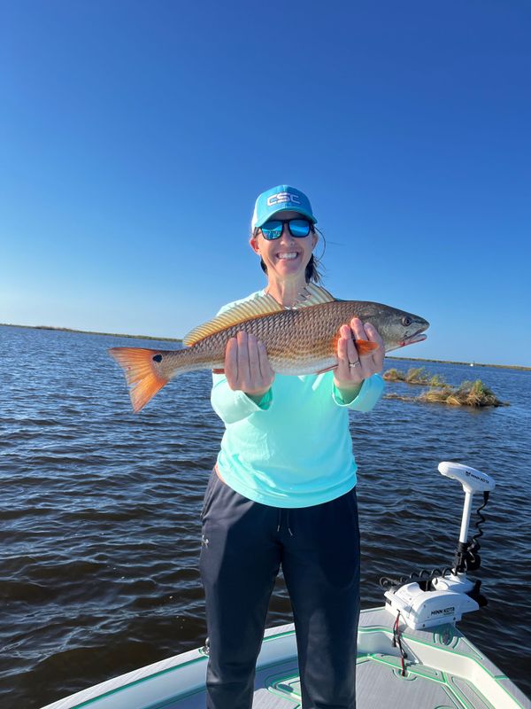 SaltyFrog Charters