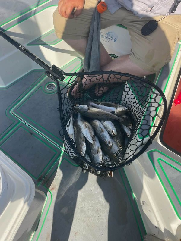 SaltyFrog Charters