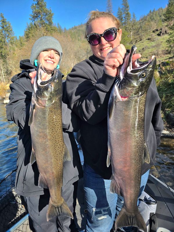 Rogue Elite Guide Service