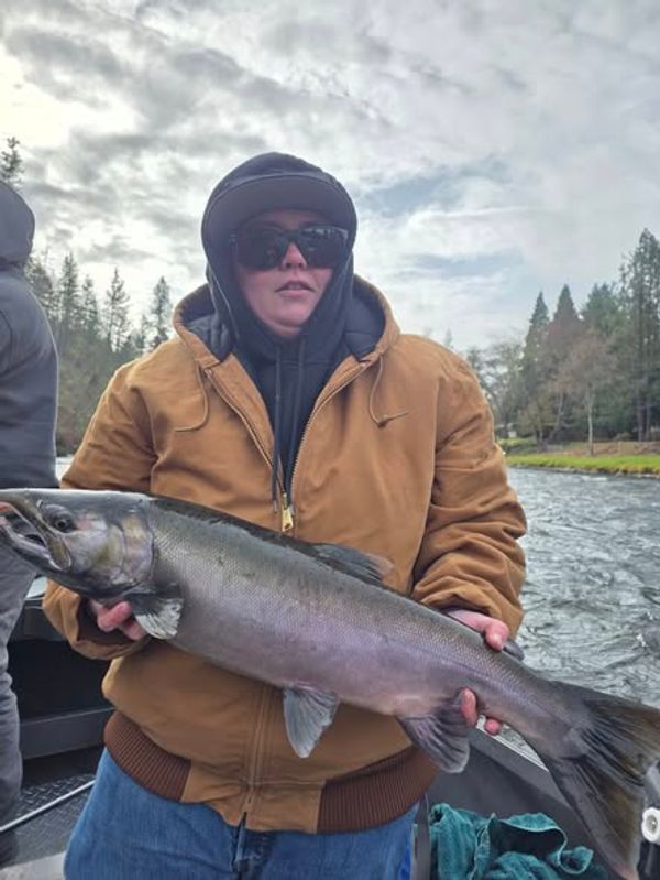 Rogue Elite Guide Service