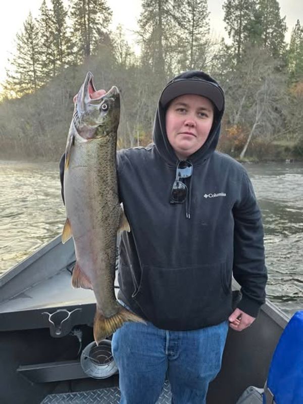 Rogue Elite Guide Service