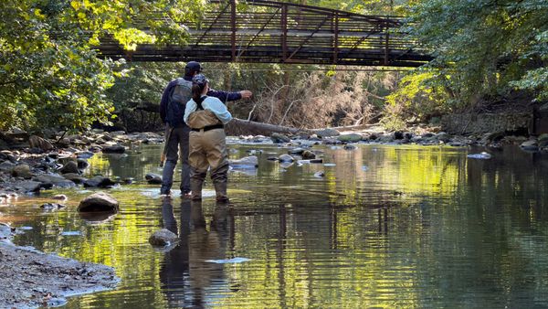 Bloom Fly Fishing