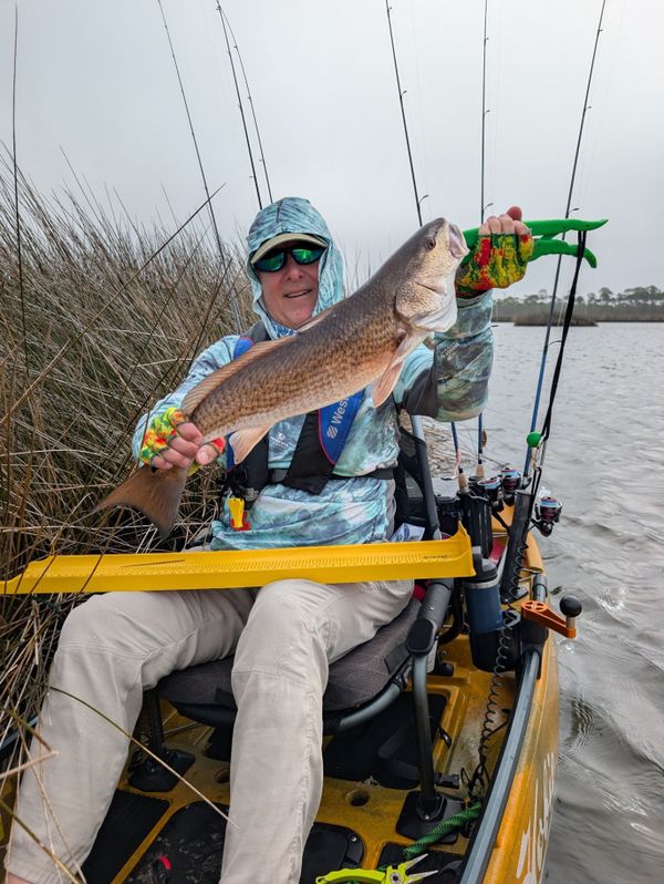 Pedal Driven Kayak Fishing Charters