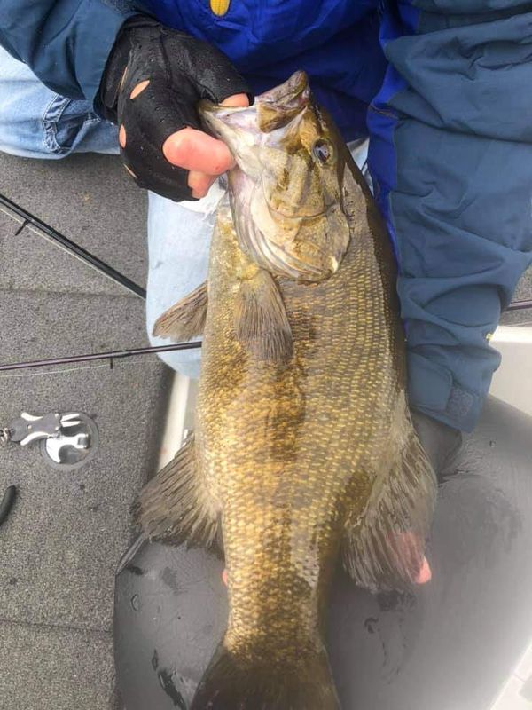 Flambeau Forest Outfitters