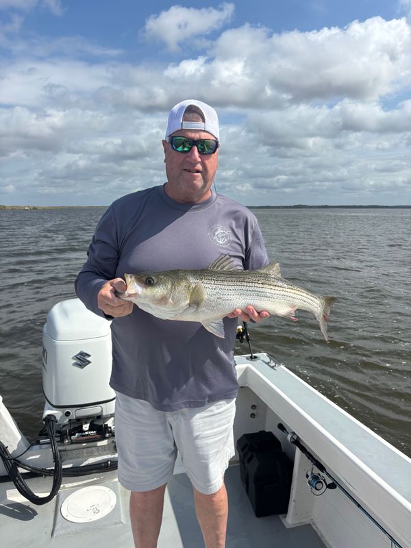 Tailing Edge Sportfishing