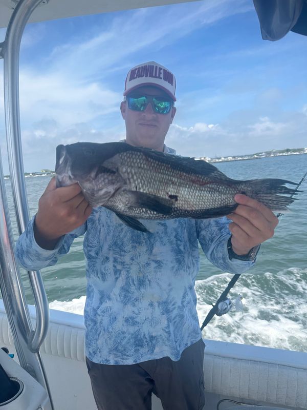 No Expectations Fishing