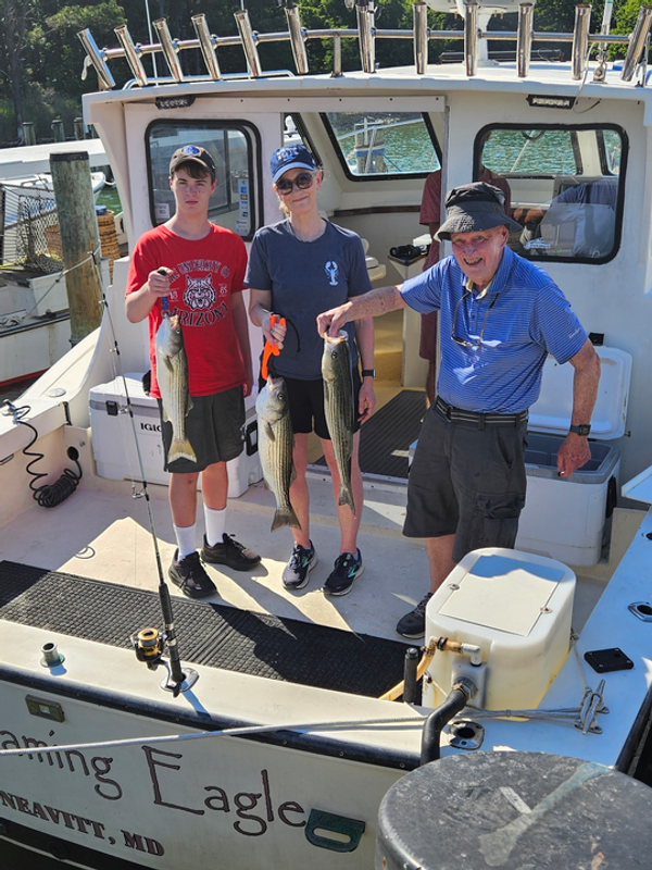 Screaming Eagle Charters