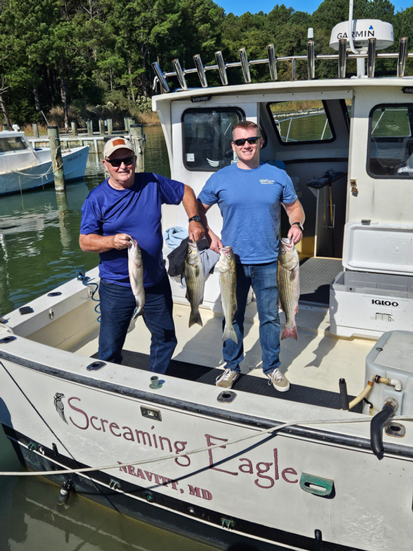 Screaming Eagle Charters