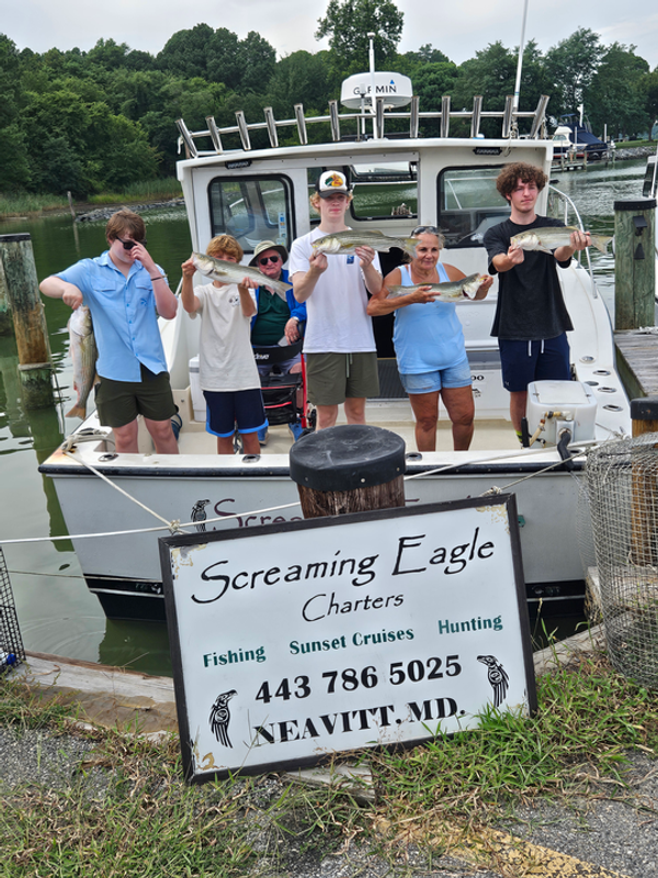 Screaming Eagle Charters