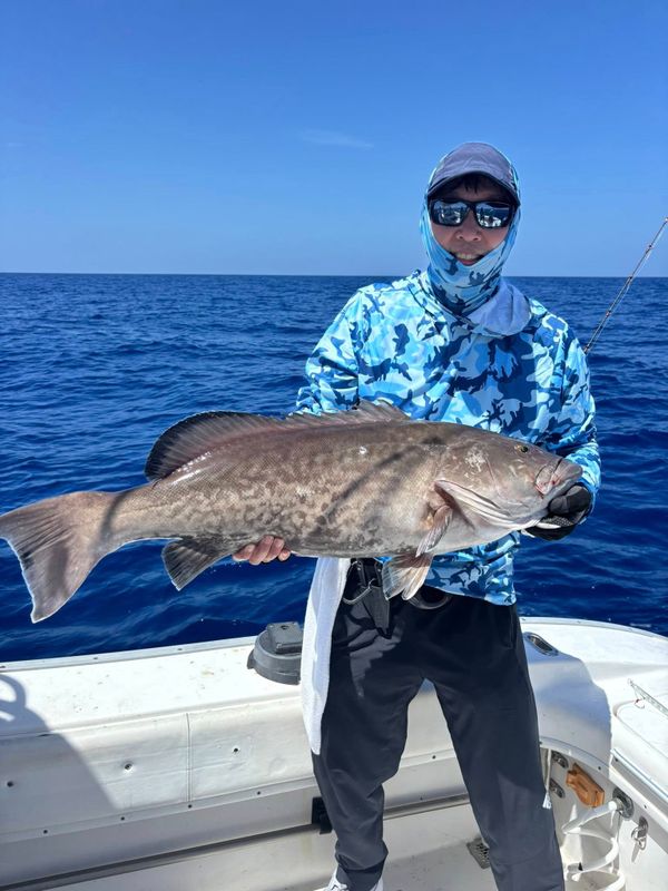 Salty dog charters