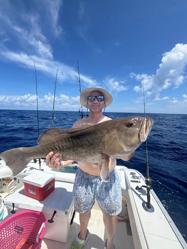 Salty dog charters