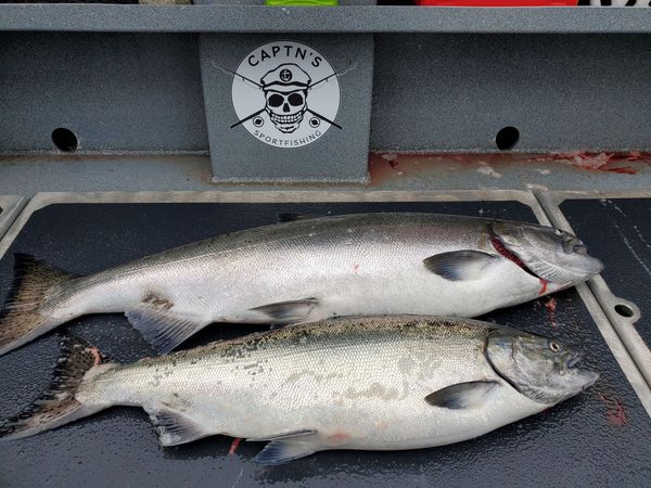 Captn's Sportfishing