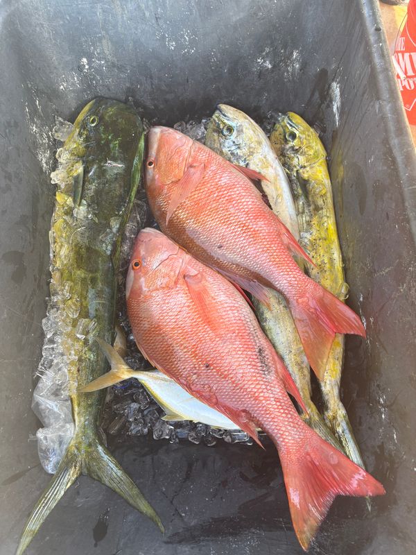 Jackie Petra Fishing