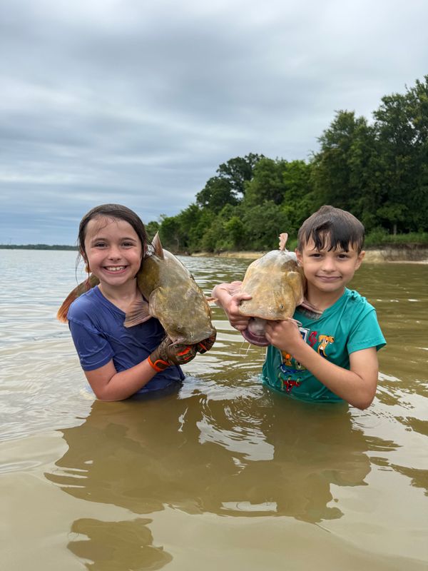 Cat Snatcher Noodling Guide