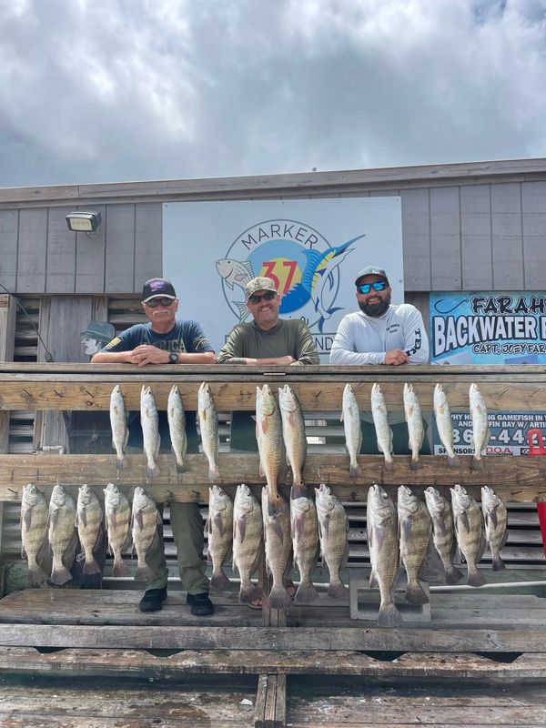 Caleb's Guide Service