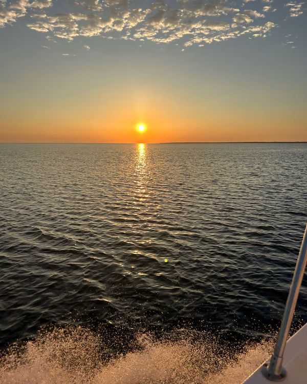 Bust-A-Knot Charters