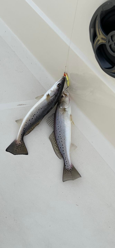 Daybreak Fishing Charters