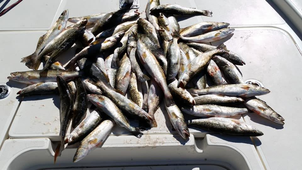 Daybreak Fishing Charters